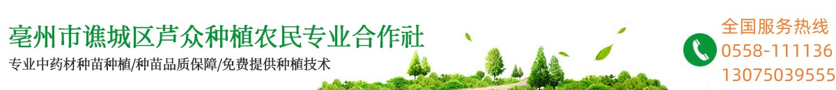 亳州市谯城区芦众种植农民专业合作社