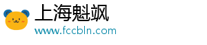 上海魁飒科技有限公司