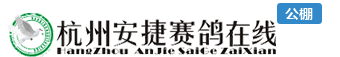 欢迎您访问安捷赛鸽网站