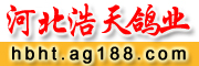 河北浩天鸽业 - 中信网铭鸽展厅