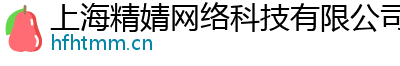 上海精婧网络科技有限公司