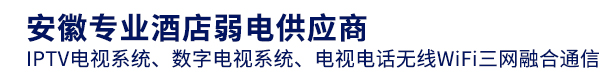 全光纤PON网络系统-IPTV电视系统-数字电视系统-电视电话无线WiFi三网融合通信-网络优化_合肥三网讯联信息科技有限公司