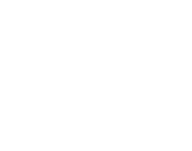 上方物云荷兰花海搜一下