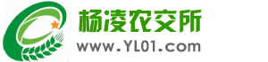 红薯批发_中国红薯交易所_价格行情_红薯苗_优质红薯大宗采购尽在红薯交易所!