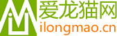 爱龙猫网只为龙猫健康生活-爱龙猫网