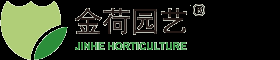 上海植物租赁公司_上海静安区办公室绿化植物花卉租赁养护_金荷园艺