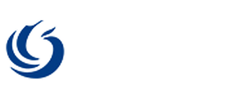 南京网站制作-南京网站建设-百度SEO服务商公司-鲁盘科技