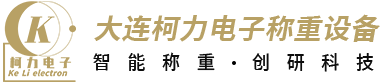 轨道衡_轨道衡厂家_皮带秤厂家-大连柯力电子称重设备有限公司