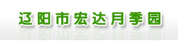 辽阳月季花_辽阳月季_辽阳宏达月季园