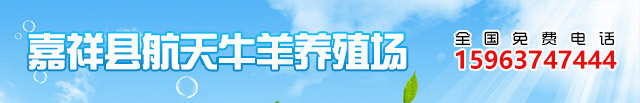山东肉牛养殖场_波尔山羊价格_小尾寒羊养殖技术_山东肉驴养殖场_嘉祥县航天牧业肉牛养殖场