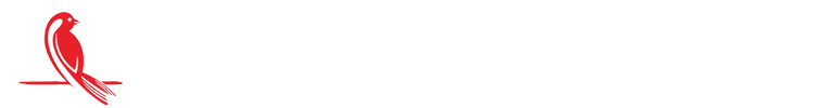 薄膜缠绕机_缠绕包装机_托盘缠绕机_山东喜鹊包装机械有限公司