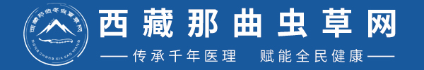 西藏冬虫夏草行业网站—西藏那曲虫草网