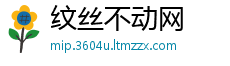纹丝不动网
