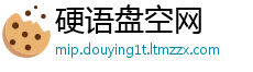 硬语盘空网