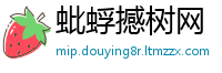 蚍蜉撼树网