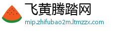 飞黄腾踏网
