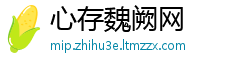 心存魏阙网