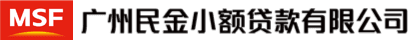 广州民金小额贷款有限公司