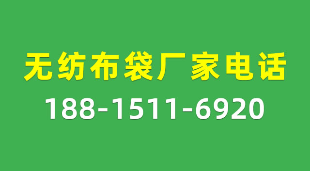 南宁环保袋厂家_南宁帆布袋定制_南宁购物袋批发_无纺布袋 - 龙港市君实制袋厂