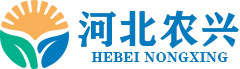 蔬菜大棚_玻璃温室_温室大棚_智能温室-河北农兴温室工程有限公司