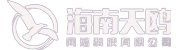 海南天鸥网络