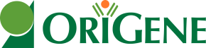 OriGene | cDNA Clones, Lentivirus, CRISPR, RNAi, Antibodies, Proteins, and Tissues | OriGene