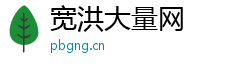 宽洪大量网