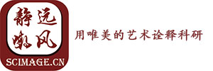 北京静远嘲风动漫传媒科技中心