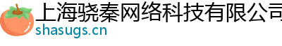 上海骁秦网络科技有限公司