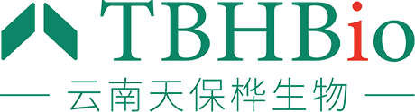 云南白芸豆提取物厂家-提供α-淀粉酶抑制剂,芸豆产业集群开发服务-云南天保桦生物资源开发有限公司