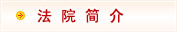 桐柏县法院网