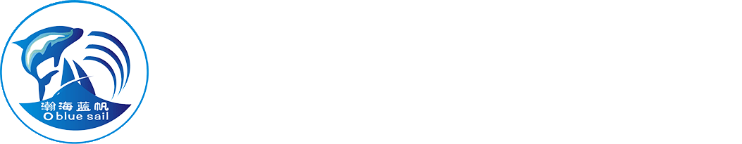 船舶大坝清洗机器人-模块化自主水下机器人-海上风电运维水下机器人
