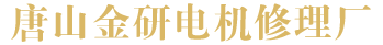 电机维修理_高压_大型_直交流_变频-唐山金研13703376256