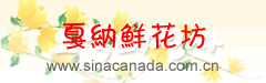 威海威海花店送花,威海市威海市鲜花网上预定送货上门,威海市鲜花店
