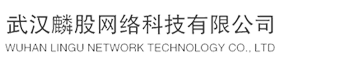 武汉麟股网络科技有限公司