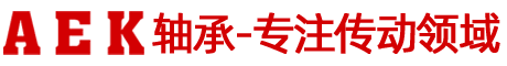 艾翌克轴承（上海）有限公司