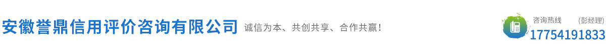 安徽誉鼎信用评价咨询有限公司