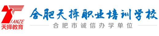 安徽合肥会计培训学校,合肥出纳主办会计培训学校,合肥会计实操培训学校,安徽合肥天择职业培训学校