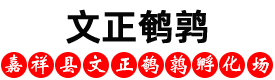 鹌鹑养殖场,鹌鹑苗-嘉祥县文正鹌鹑苗养殖场