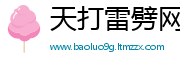 天打雷劈网