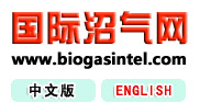 国际沼气网