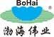 天津市渤海伟业清洁用品有限公司