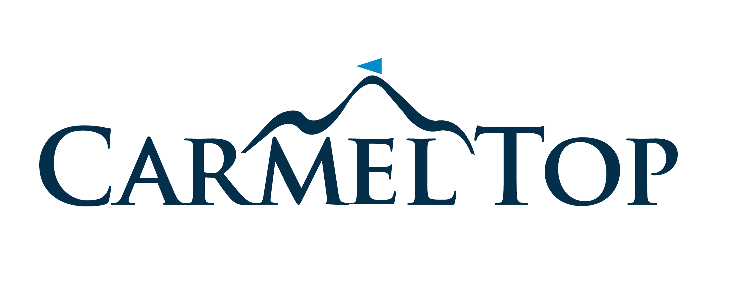 CarmelTop – Executive Search | Management Consulting |
	Leadership Advisory