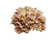灰树花-灰树花,D组分,灰树花D阻分,灰树花多糖