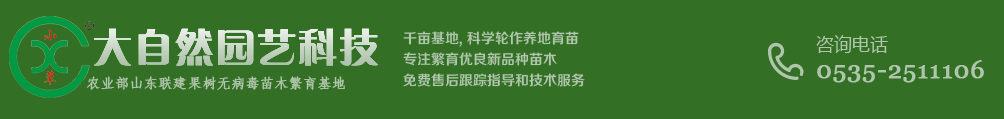 小草沟苹果苗_矮化苹果苗_优质脱毒苹果苗木_小草沟苹果苗_莱州大自然园艺有限公司