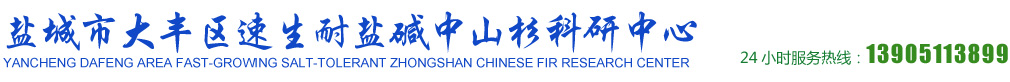 中山杉_中山杉小苗_中山杉价格_盐城市大丰区速生耐盐碱中山杉科研中心