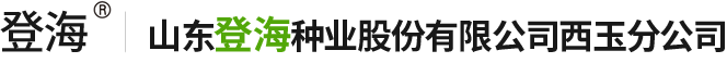 山东登海种业股份有限公司西玉分公司_登海糯玉米、甜玉米、糯甜玉米、青贮玉米、爆裂玉米等特用玉米和普通杂交玉米