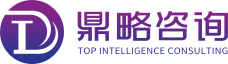 鼎略咨询