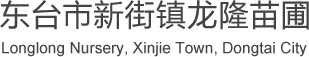 大叶女贞_大叶女贞树_大叶女贞小苗-东台市新街镇龙隆苗圃