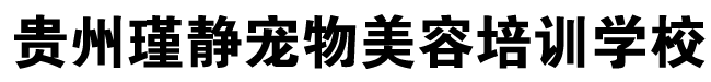 贵阳宠物美容培训-贵州宠物美容师培训-贵阳宠物美容学校-贵州瑾静宠物美容有限公司